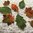 Autumn leaves embroidery set