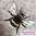 Embroidery file bumblebees bees